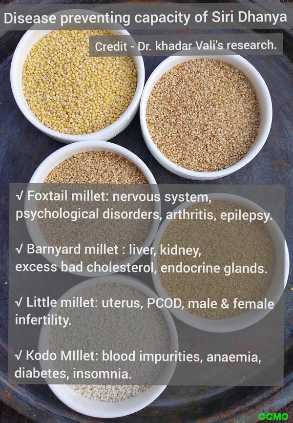 Millets All You Need To Know About These Grains