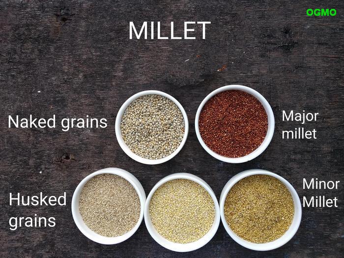 What Are Minor Millet Or Siri Dhanya