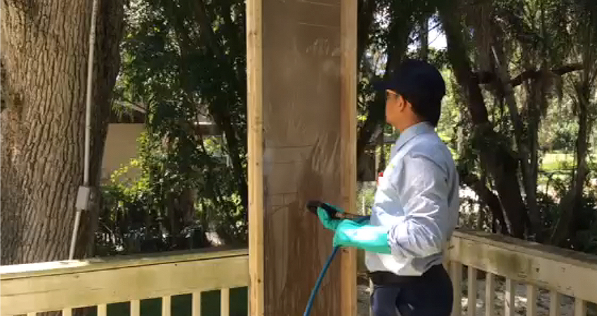 Termite Spot Treatment vs. Tenting: Which Is The Better Treatment.