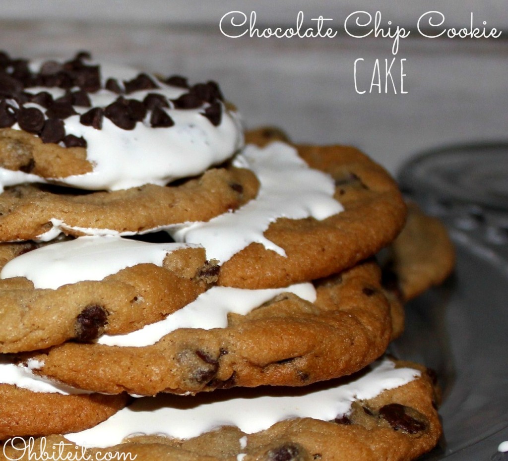 {Overnight}Chocolate Chip Cookie 'Cake'! Oh Bite It