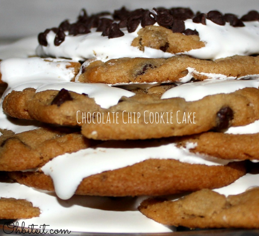 {Overnight}Chocolate Chip Cookie 'Cake'! Oh Bite It