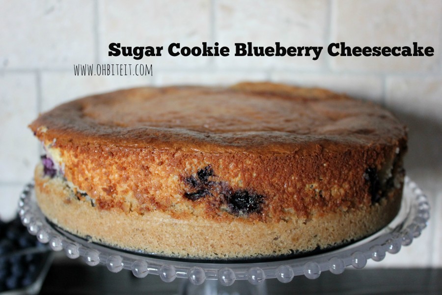 Sugar Cookie Blueberry Cheesecake! Oh Bite It