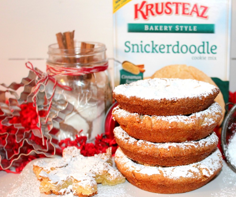 Snickerdoodles…from Krusteaz! Oh Bite It