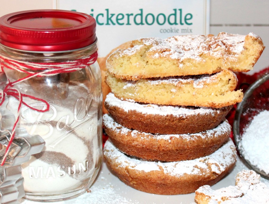 Snickerdoodles…from Krusteaz! Oh Bite It