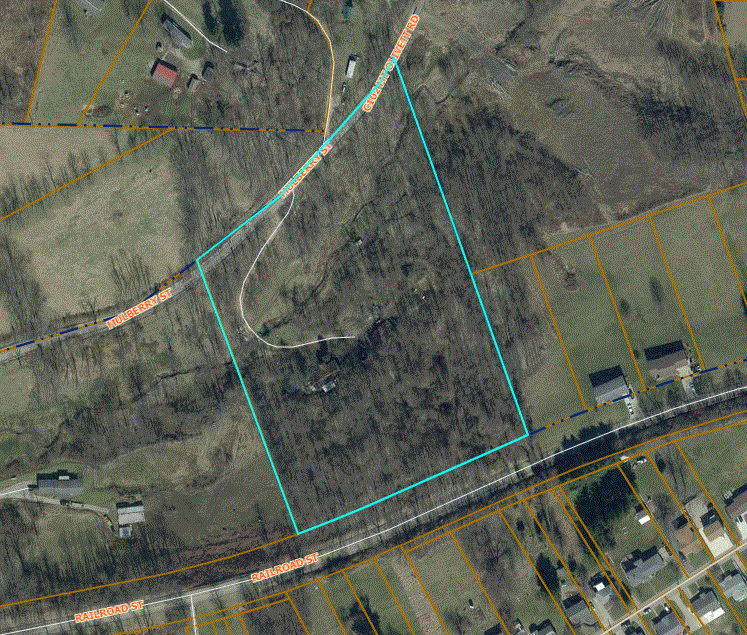 Ohio Private Selling Officer (PSO) ***REDEEMED/SALE CANCELLED