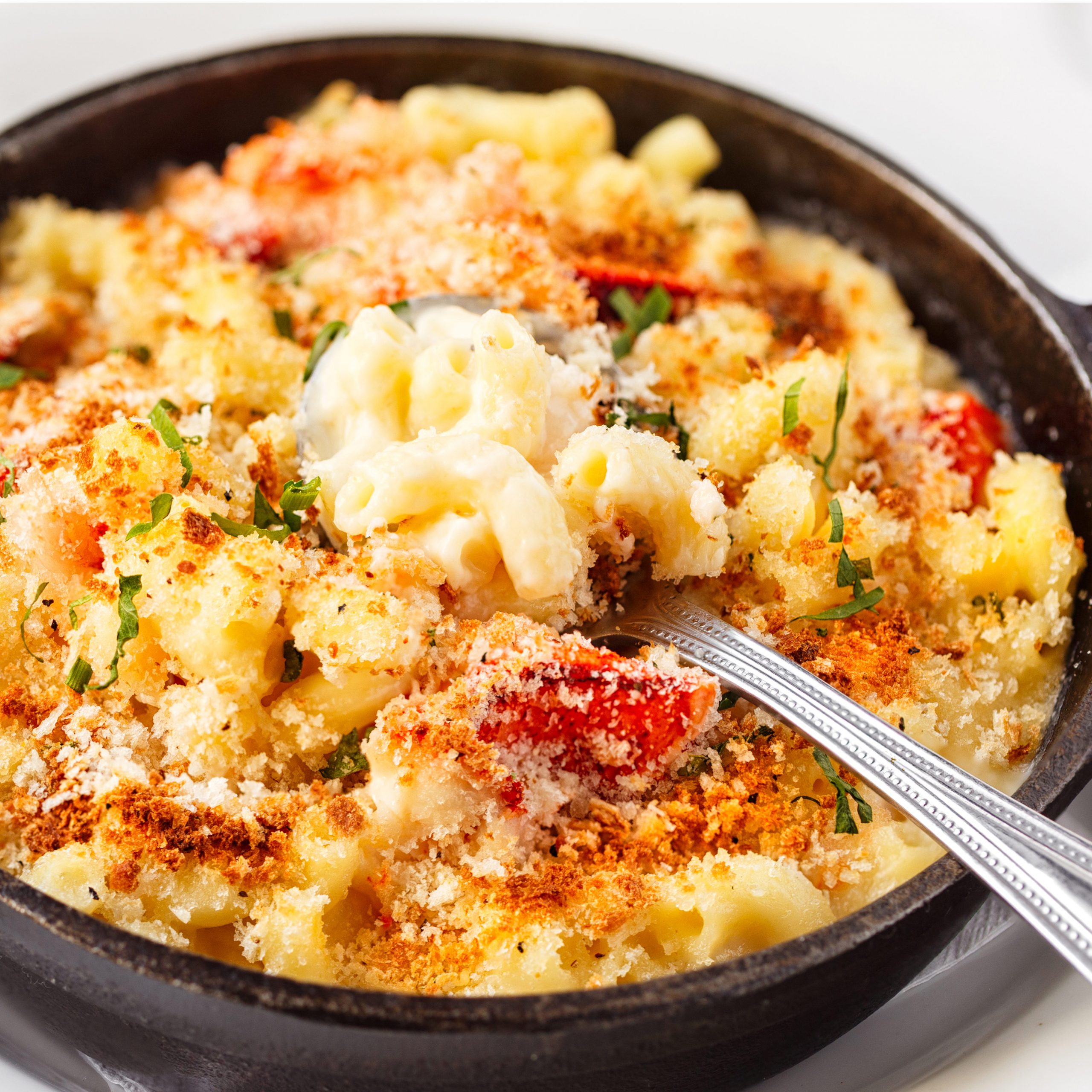 OHOW’s Favorite Lobster Mac and Cheese Recipe Orthopaedic Hospital of