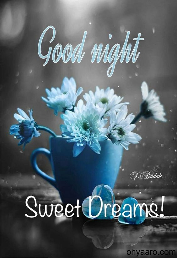 Good Night With Flowers Images Oh Yaaro