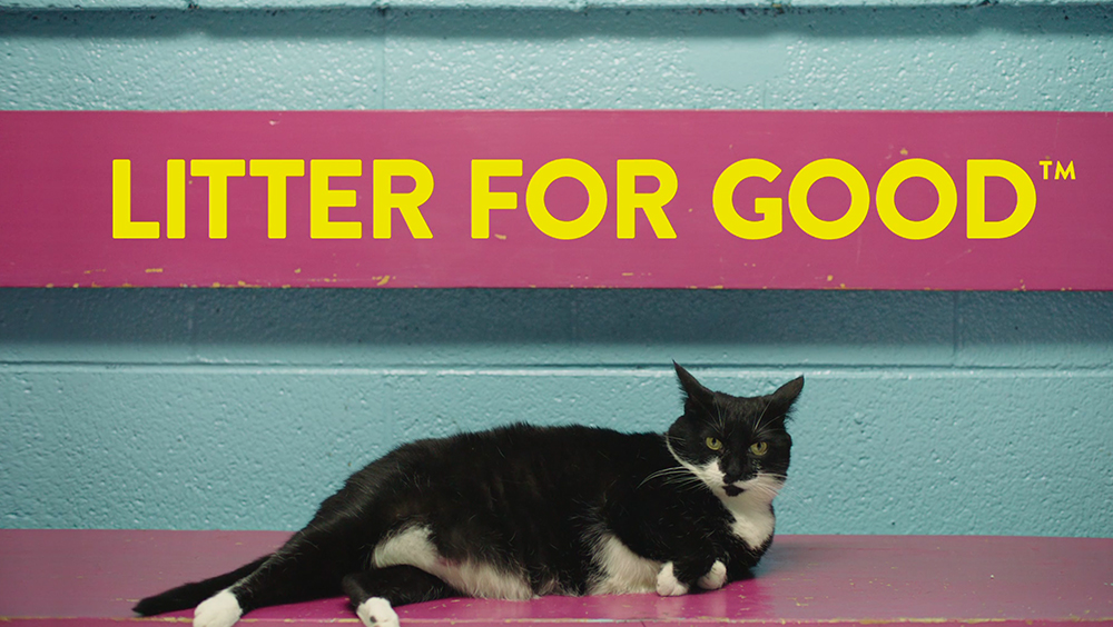 OilDri Corporation Creating Value From Sorbent Minerals