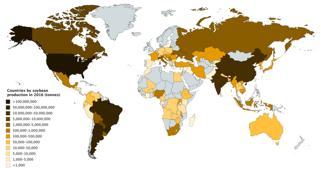 Multi Oil Seed Processing Plant with Extruder Installed in Ethiopia