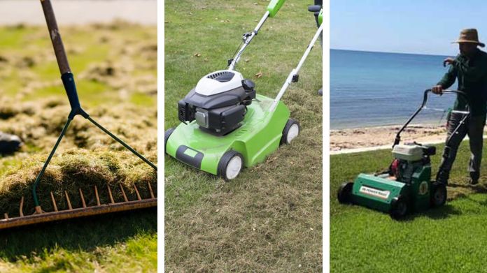 Lawn Dethatching Guide: How to Dethatch Lawn {3 Easy Steps}