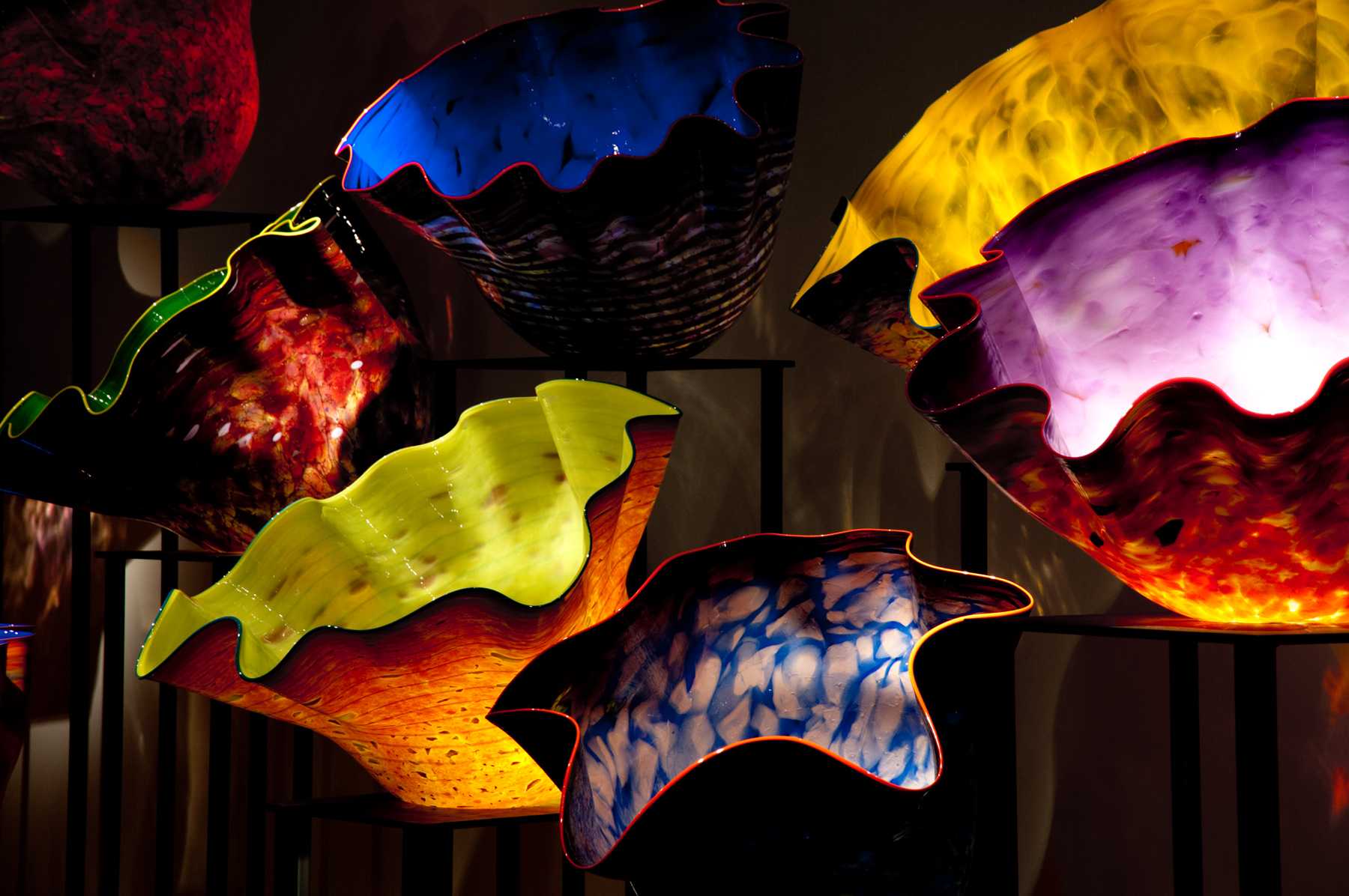BehindTheScenes With Dale Chihuly Oklahoma City Museum of Art OKCMOA