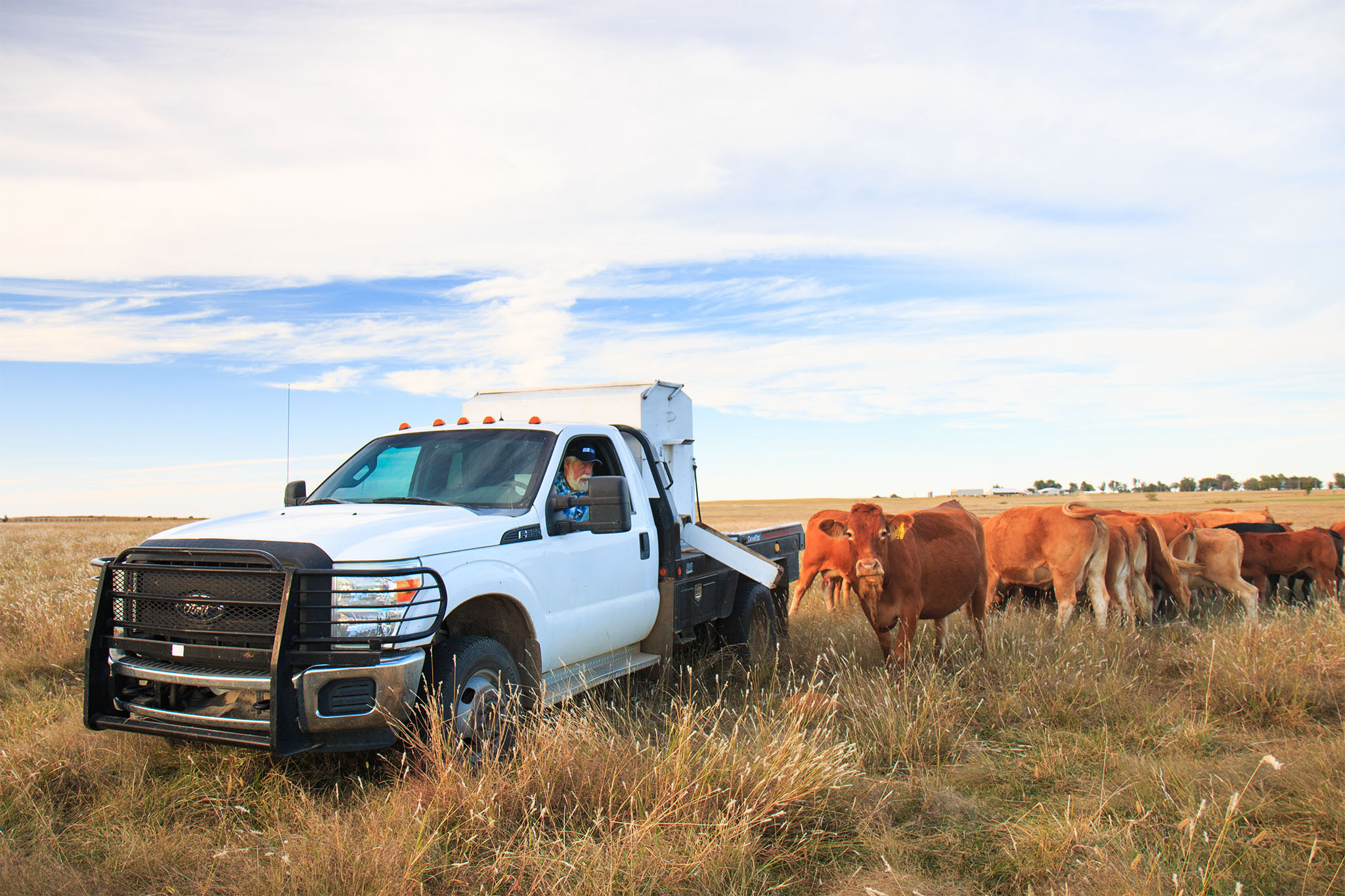 Ad valorem taxes Oklahoma Farm Bureau