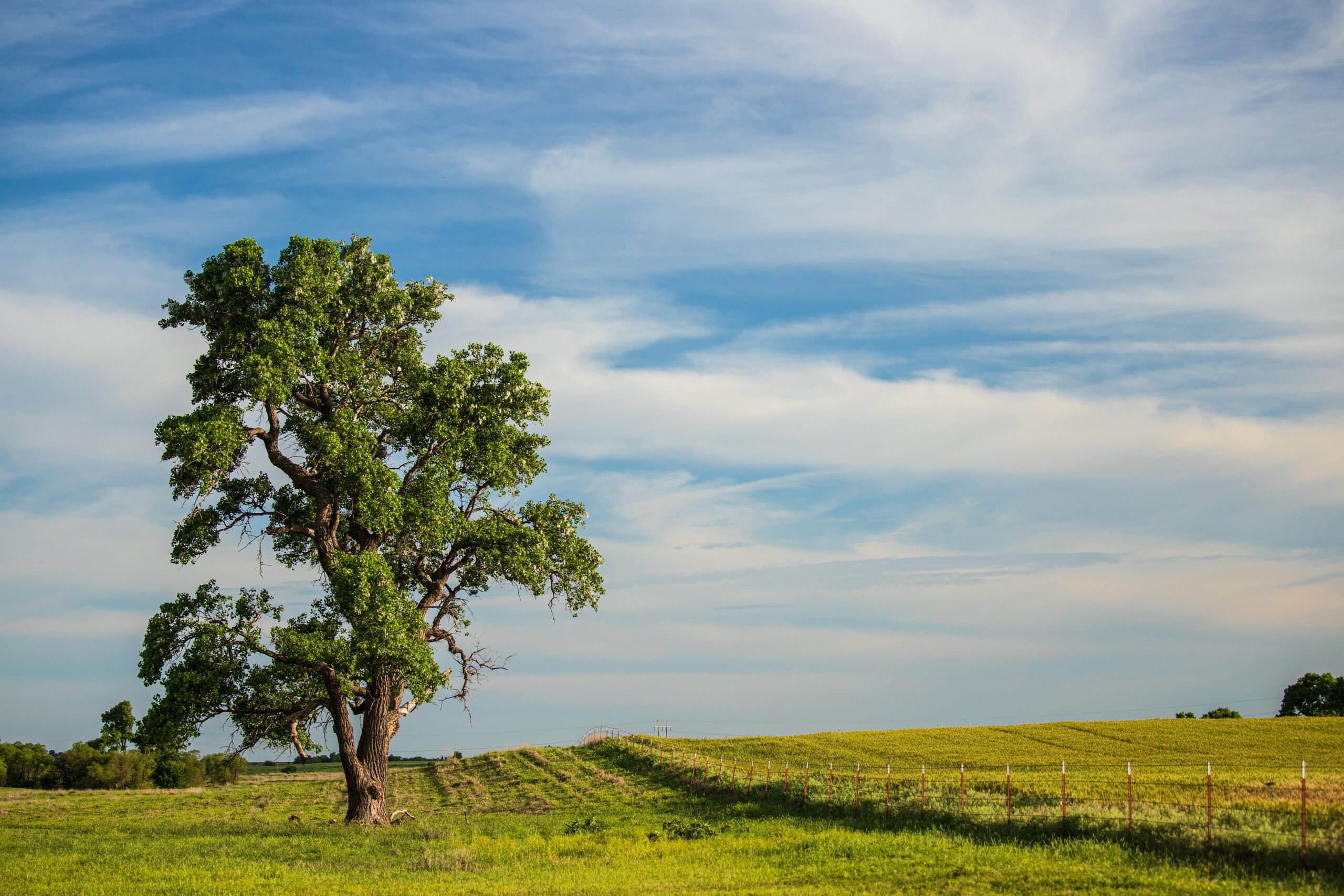 OKFB 30 million grants for rural broadband Oklahoma Farm Bureau
