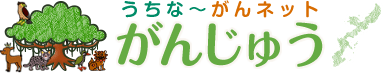 令和4年3月24日（木）薬物療法に関する専門的知識・技術の習得のための研修会 新着情報 うちな～がんネット