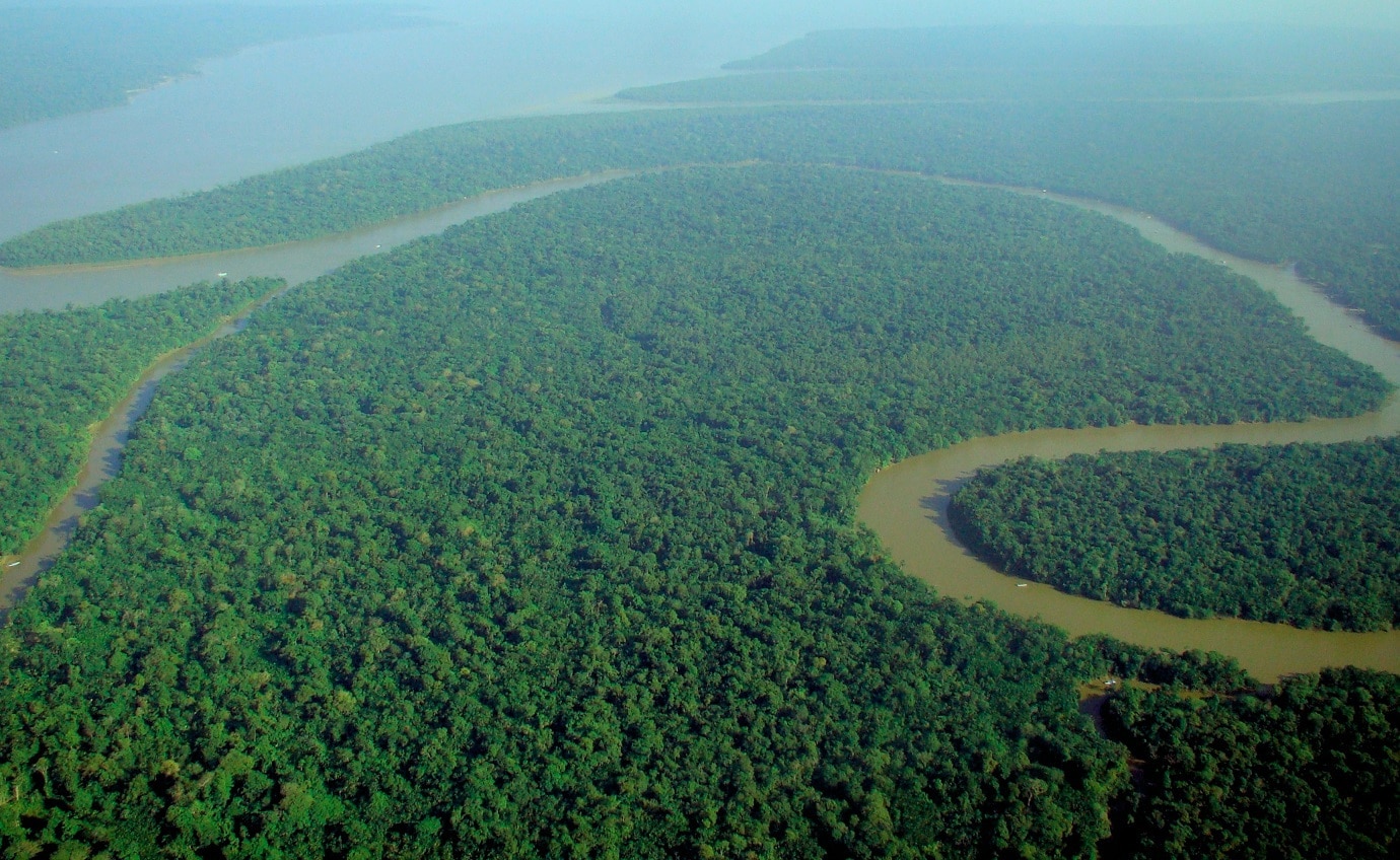 10 Oldest Rainforests in the World