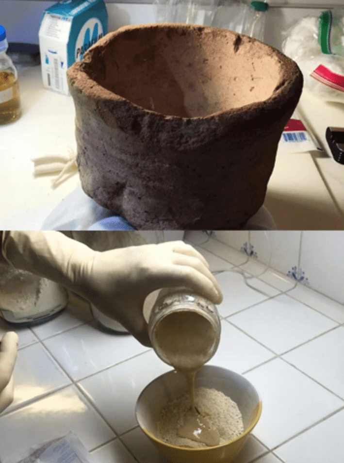 7 Oldest Sourdough Starters Ever in History