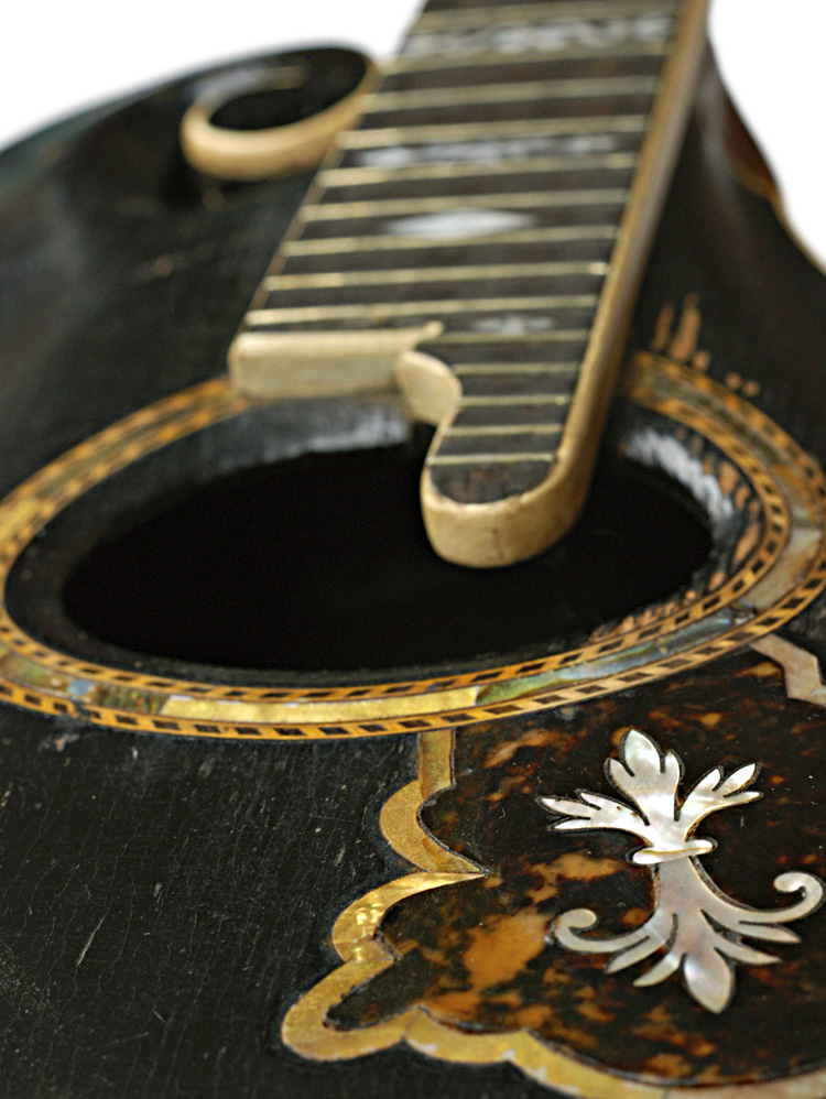 The Gibson Company Guitar and Mandolin