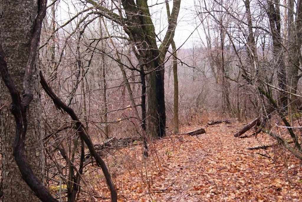 Sharon Springs, NY Old House Dreams