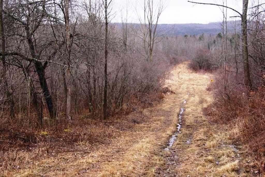 Sharon Springs, NY Old House Dreams