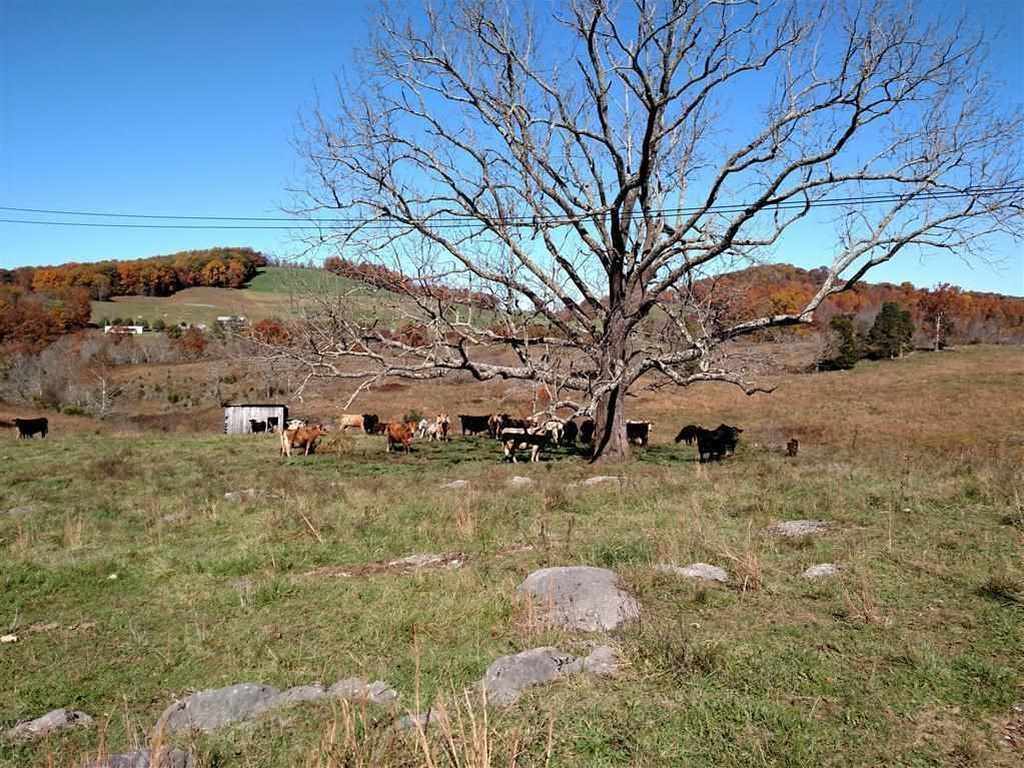 National Folk Thorn Hill, TN Old House Dreams