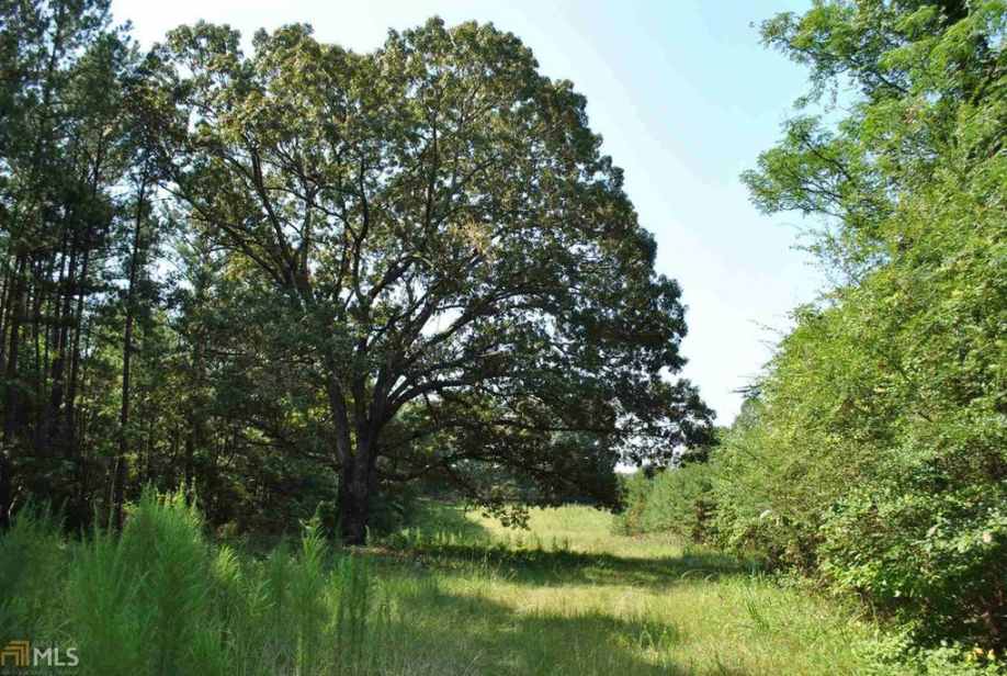 c. 1850 Jackson, GA Old House Dreams