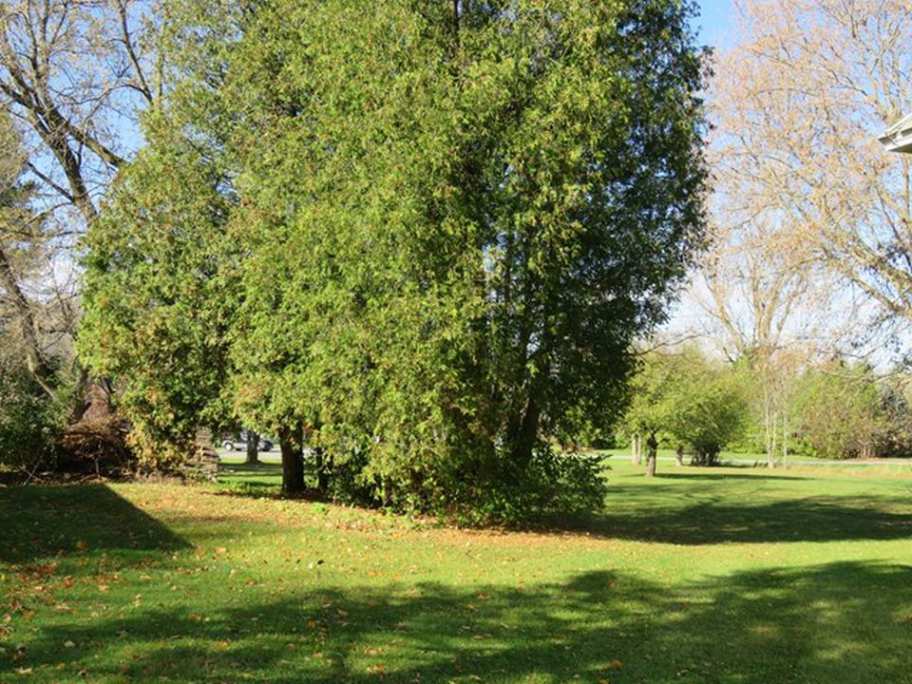 Italianate Bombay, NY Old House Dreams