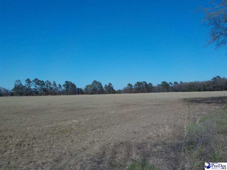 Clio, SC Old House Dreams