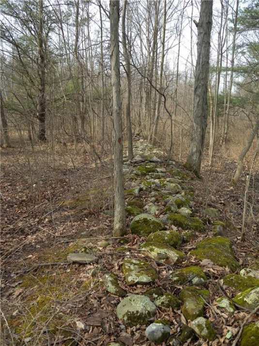 1850 Greek Revival Honeoye, NY Old House Dreams