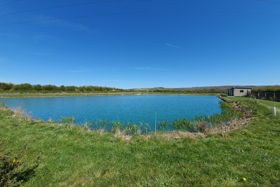 Alder Details Old Mill Lakes