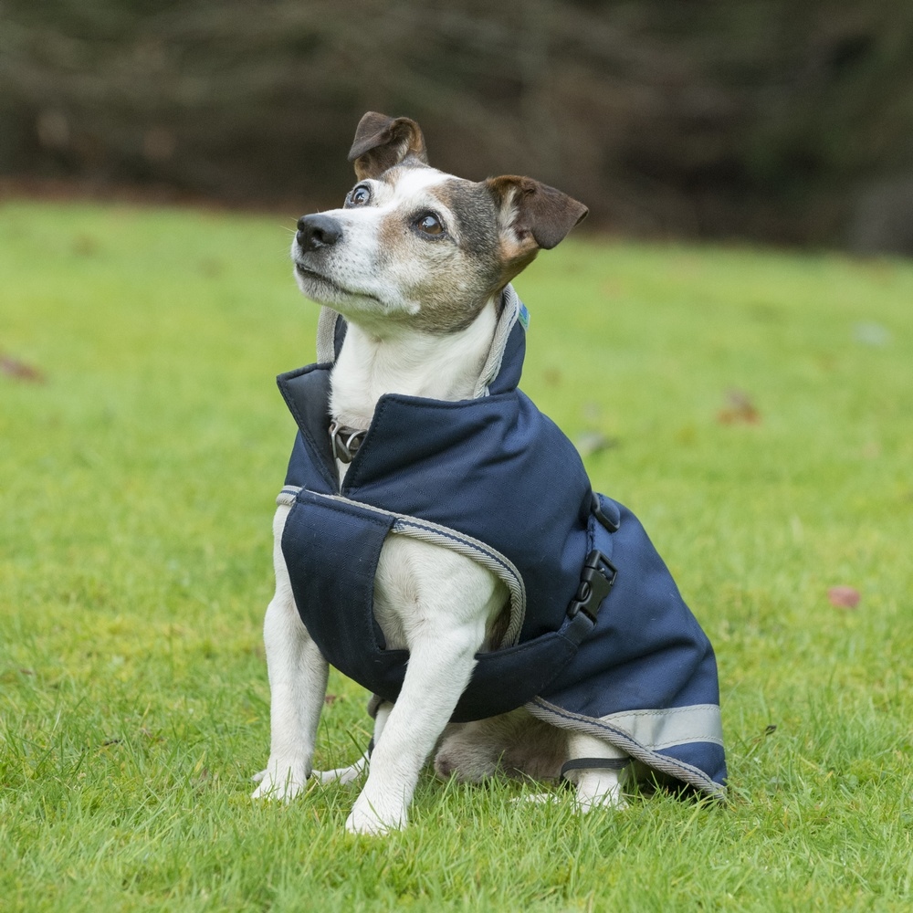 Bucas Freedom Dog Blanket 50g Old Mill Saddlery