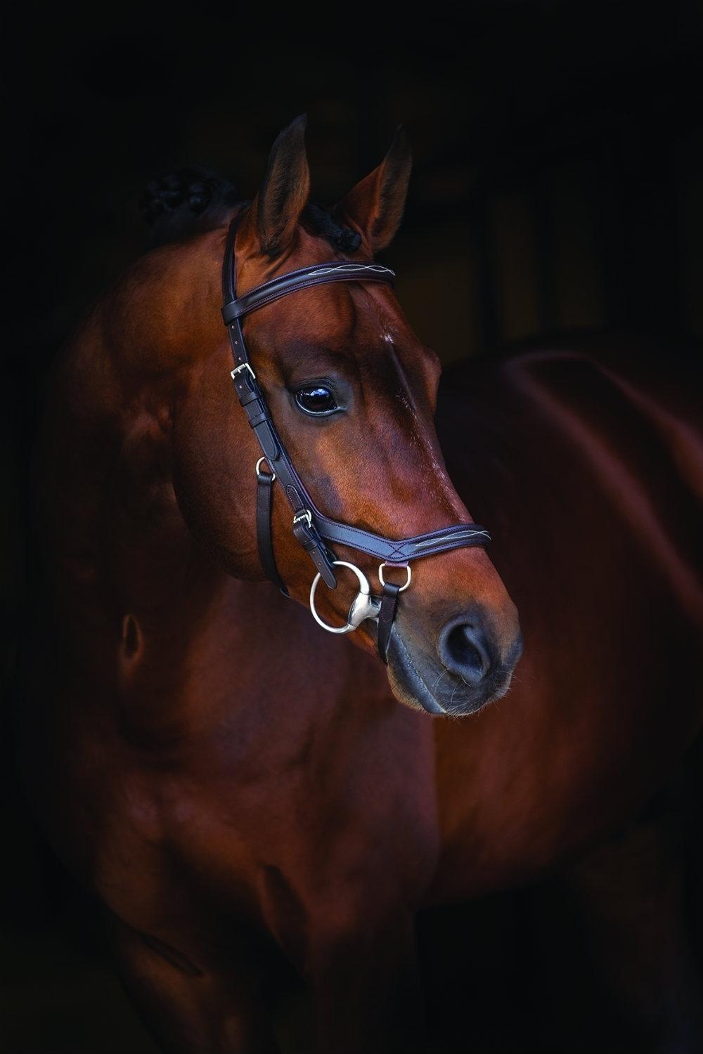 Micklem Rambo Deluxe Micklem Competition Bridle Old Mill Saddlery