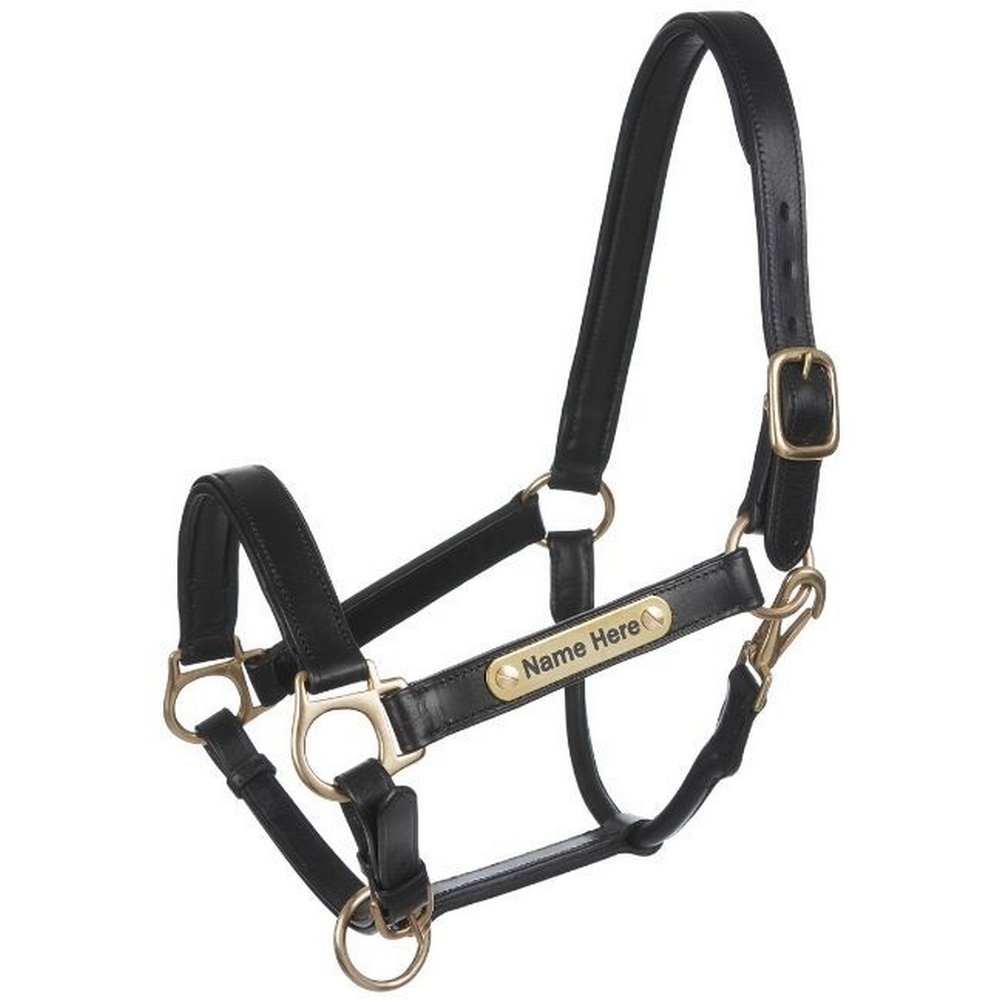 Old Mill Saddlery English Padded Leather Headcollar Old Mill Saddlery