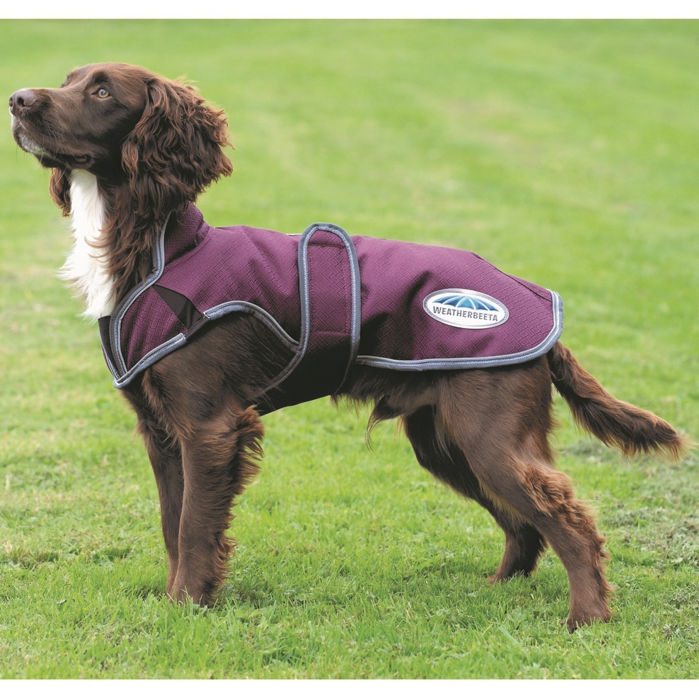 Weatherbeeta Comfitec Premier Free Parka Deluxe Dog Coat Old Mill