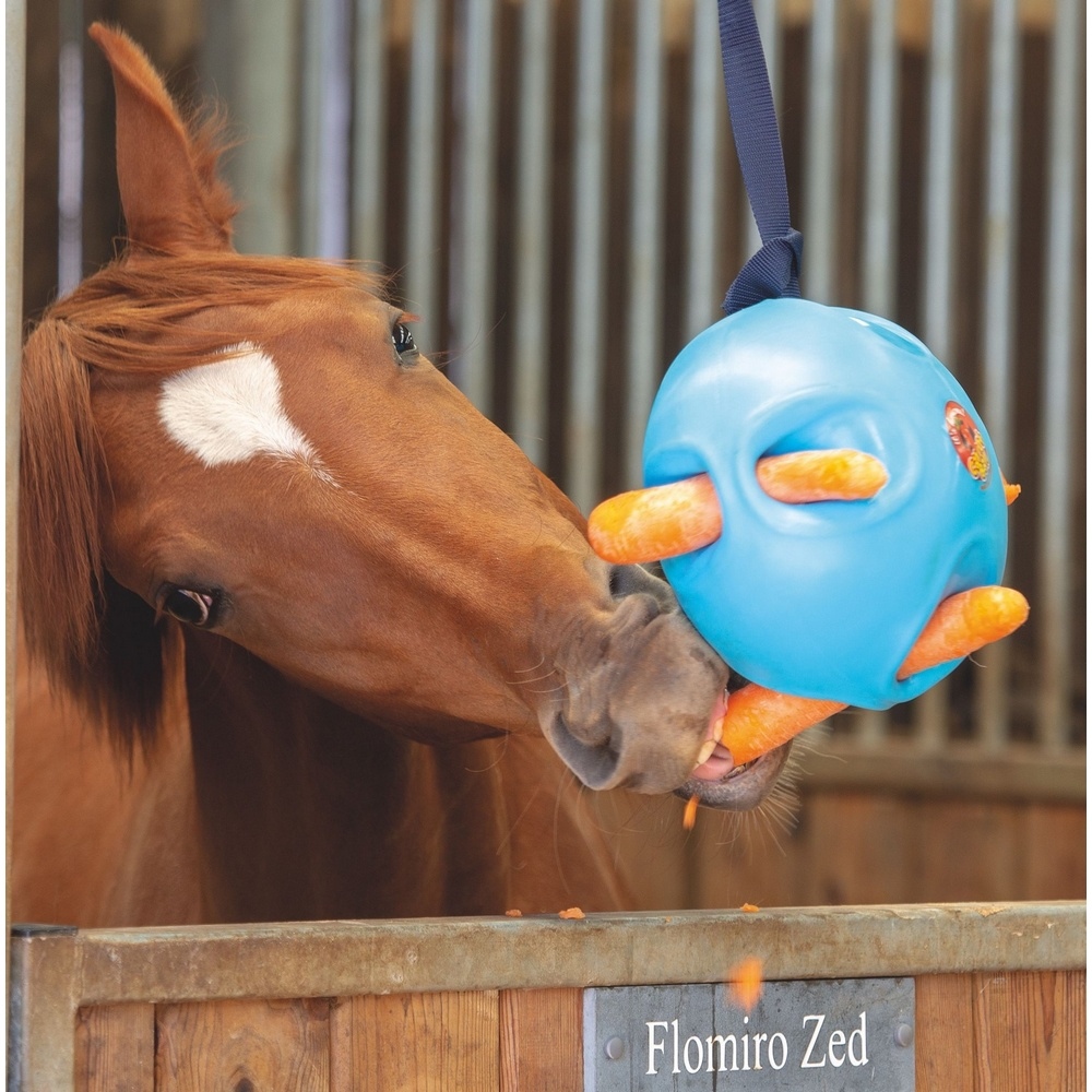 Shires Carrot Ball Old Mill Saddlery