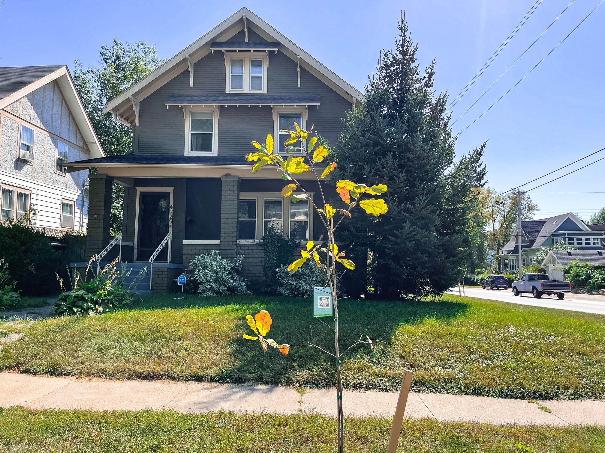 ReTree Midtown Old Omaha