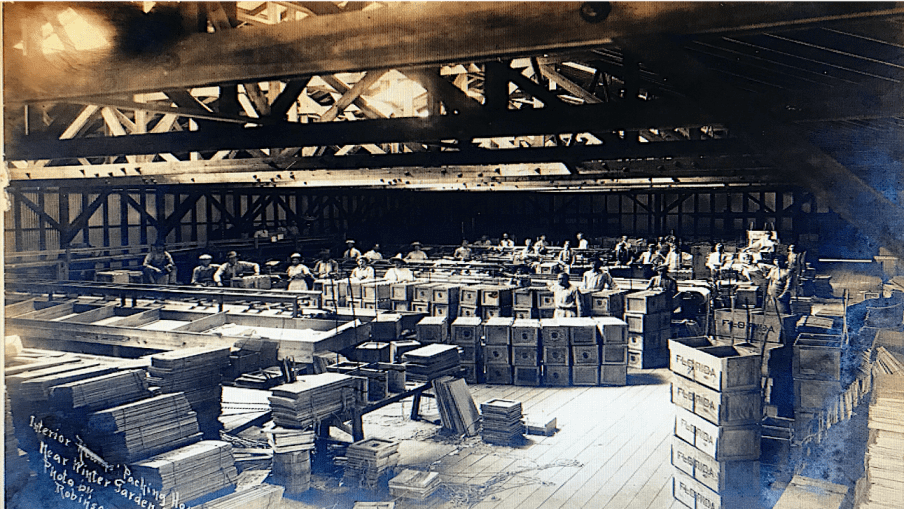 The Old Packing House Home