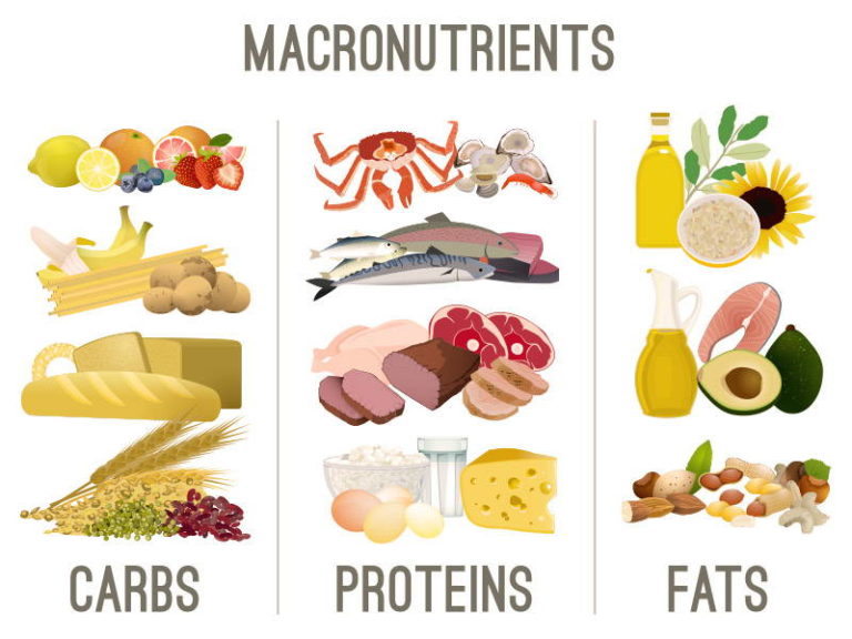 How Many Calories Should I Eat In A Day? Old School Labs
