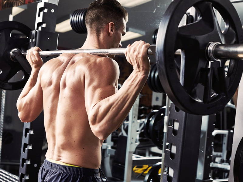 Best Powerlifting Program Finding the Routine For You Old School Labs