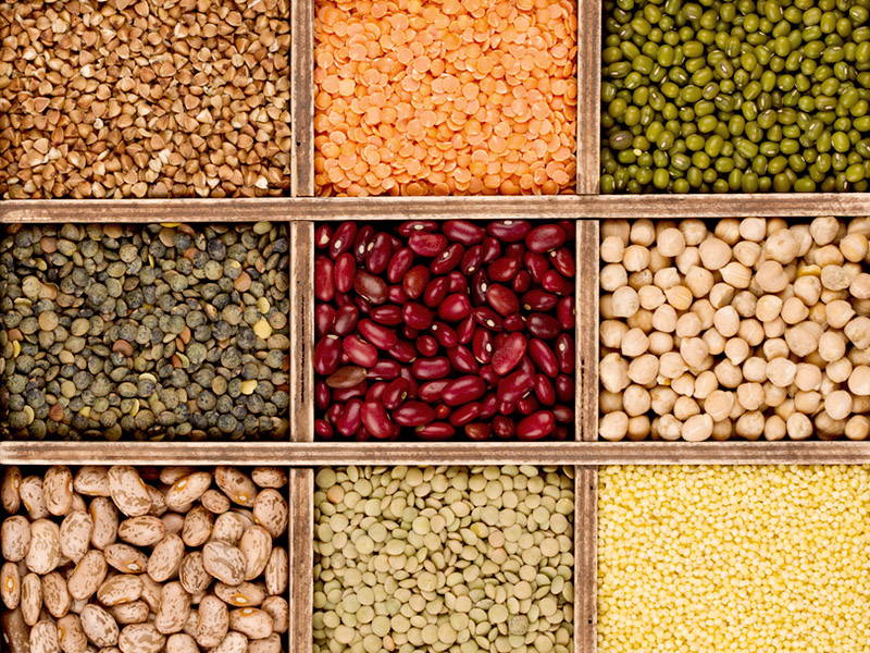 What is Soy Protein Isolate? Is it bad for you? Old School Labs