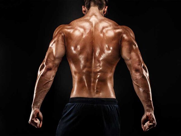 TBar Rows Form & Variants [Instructions] Old School Labs