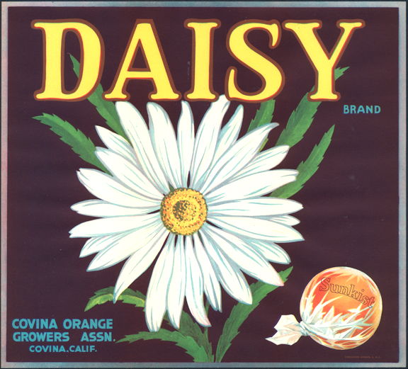 34 Daisy Says The Label Labels Design Ideas 2020
