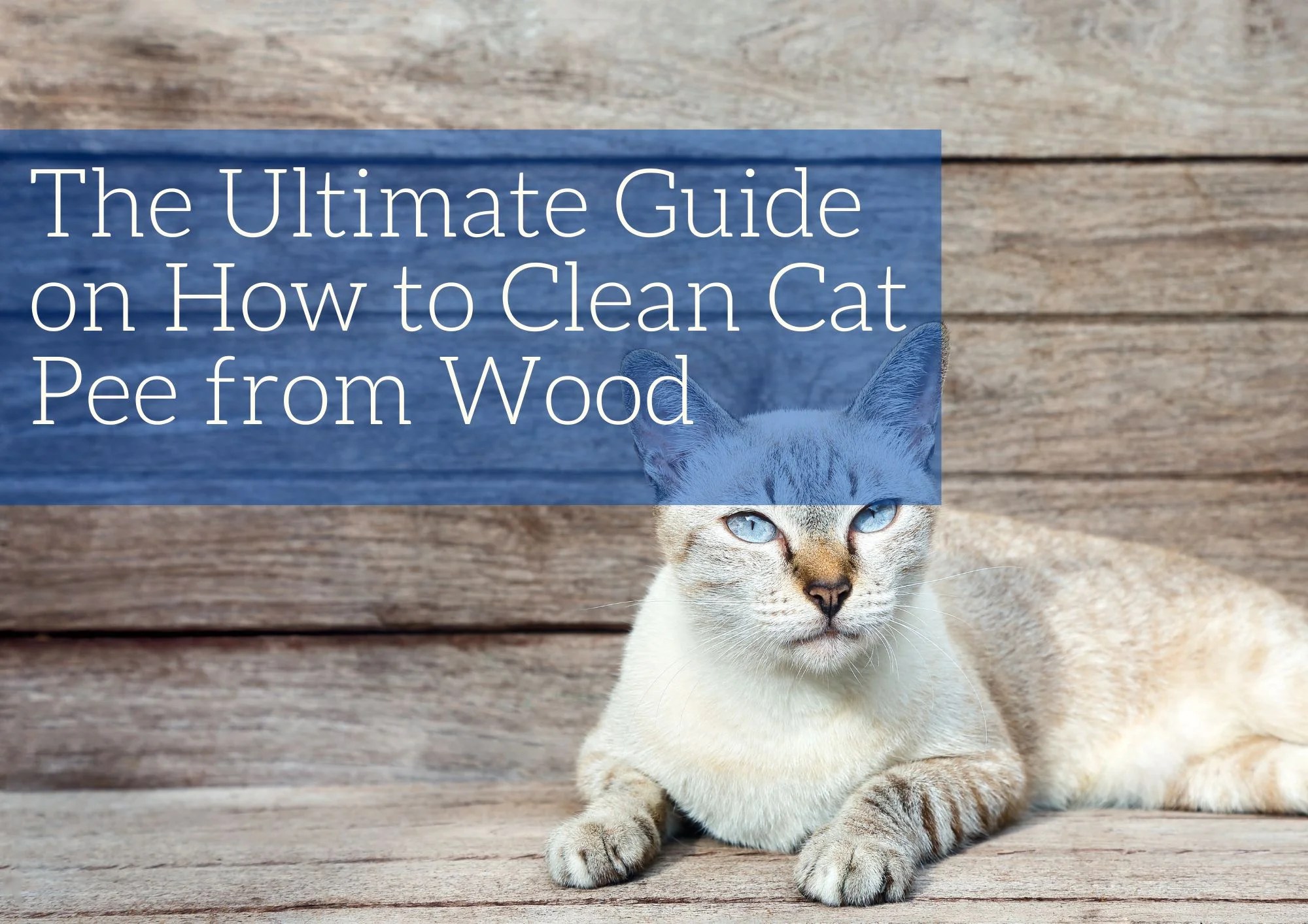 How To Choose The Right Wood Finish For Your Project Blog