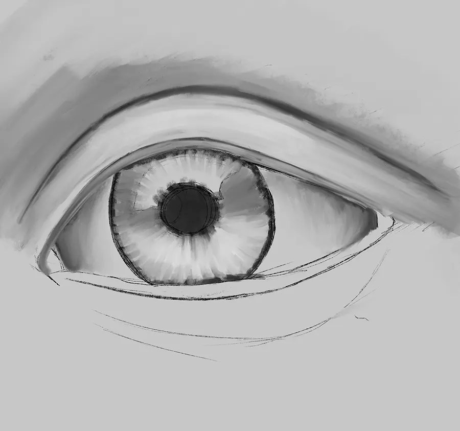 How to draw eyes A 5 step foolproof method