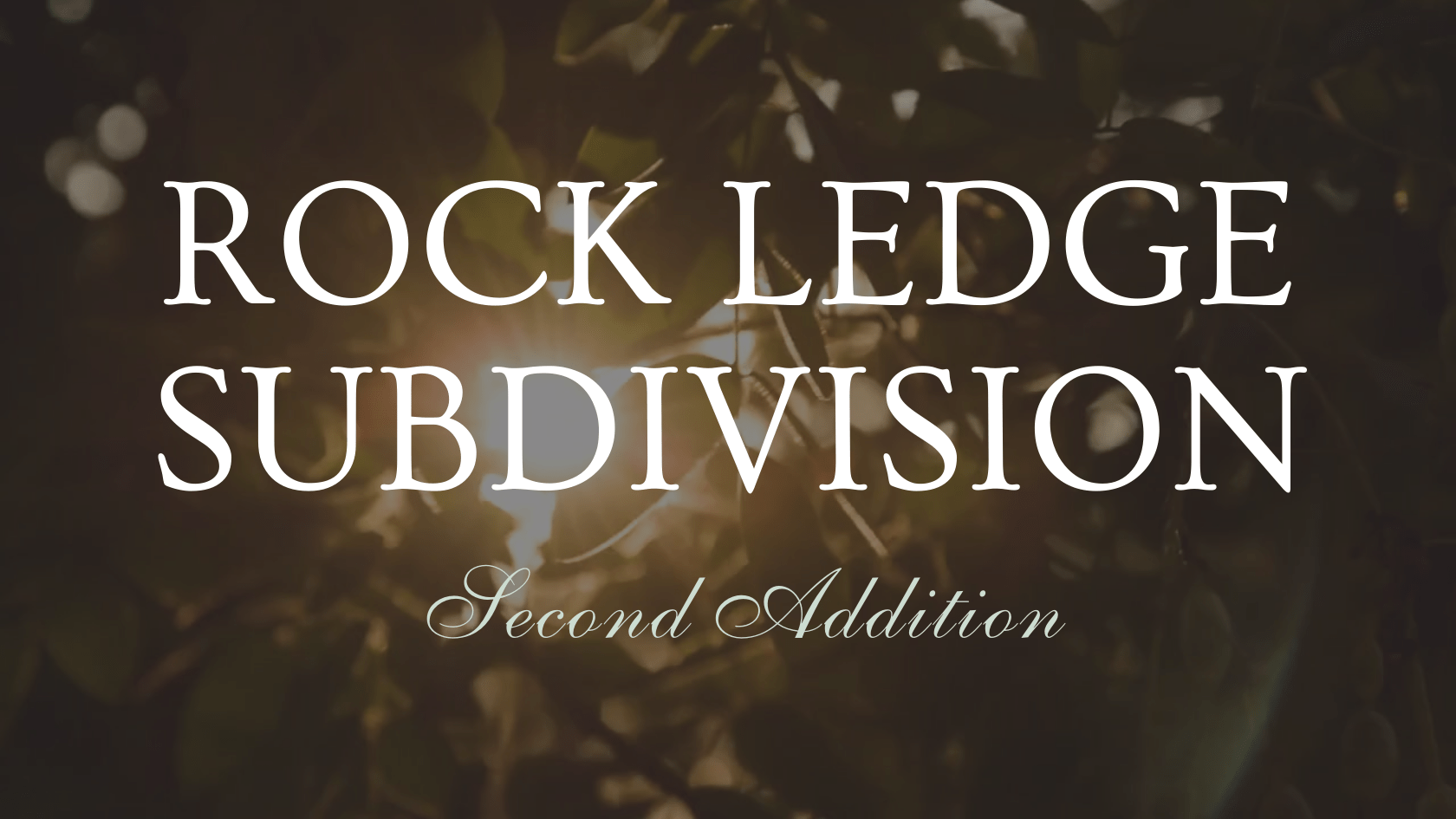 Real Estate Blog Mark D. Olejniczak Realty, Inc.