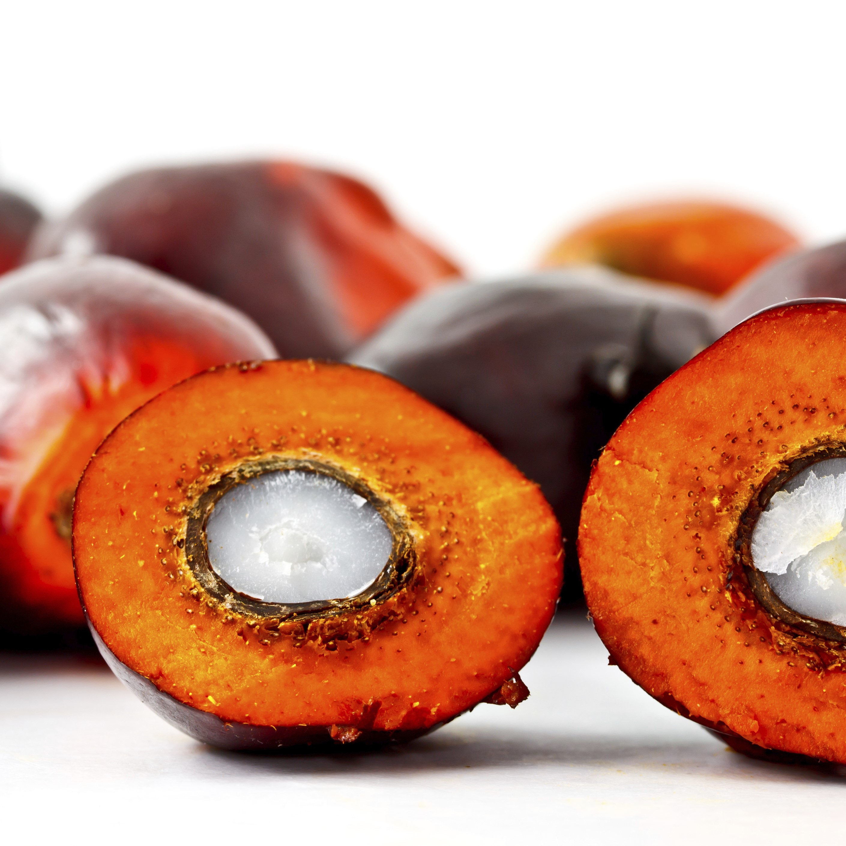 Palm Oil & Palm Kernel Oil Olera