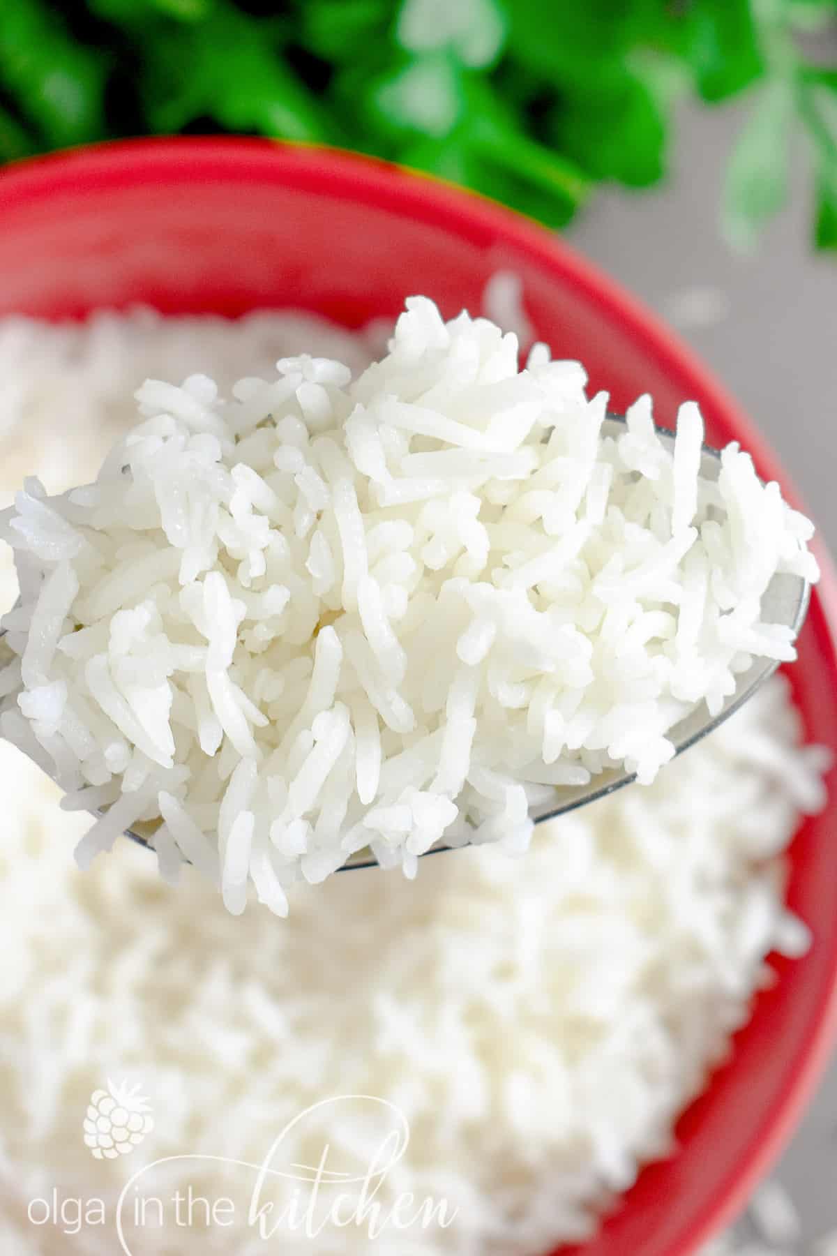 How to Cook White Rice Olga in the Kitchen