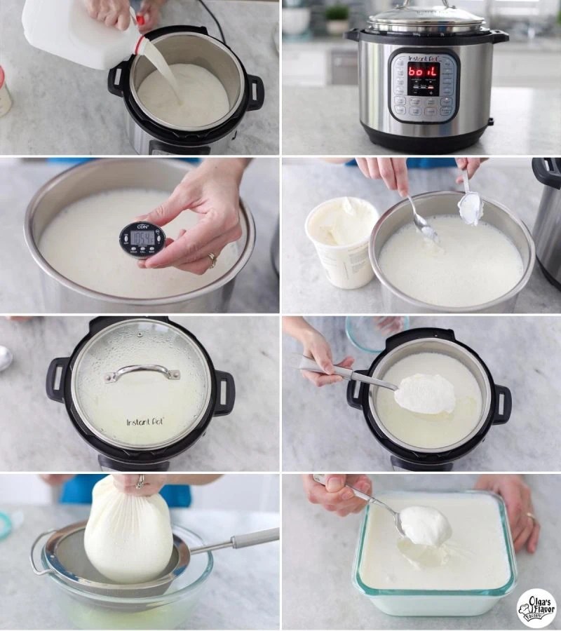 Instant Pot Yogurt (Traditional Method) Olga's Flavor Factory