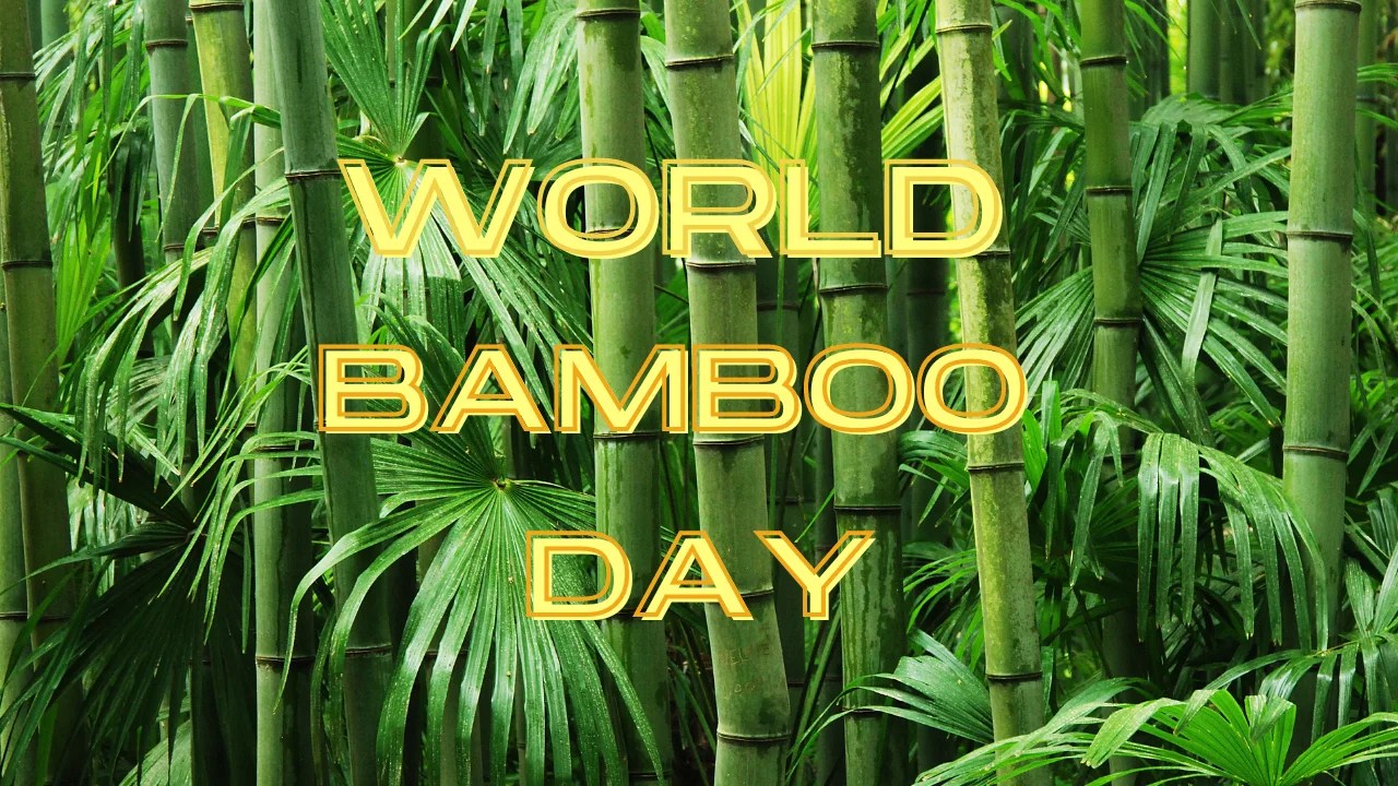 World Bamboo Day 2024, Its History, Facts & How to Celebrate