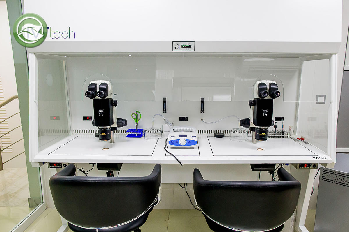 Gallery Olive Branch Clinic