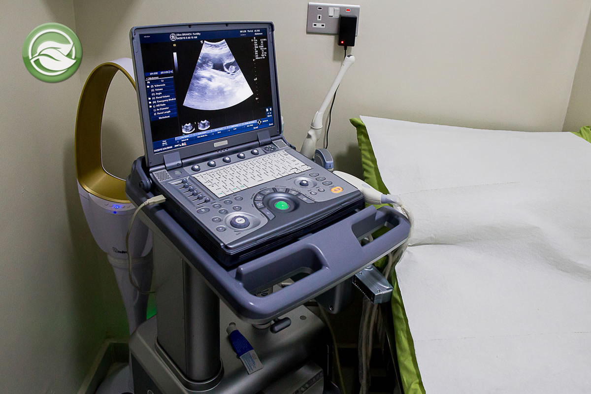 Gallery Olive Branch Clinic